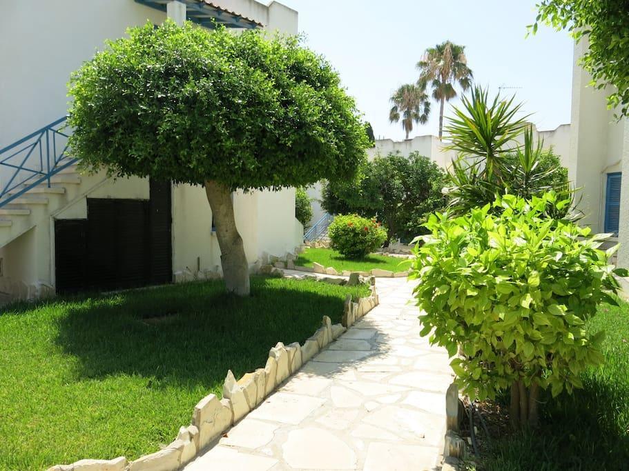 Apartmán Dhekelia Diamond Larnaca Exteriér fotografie
